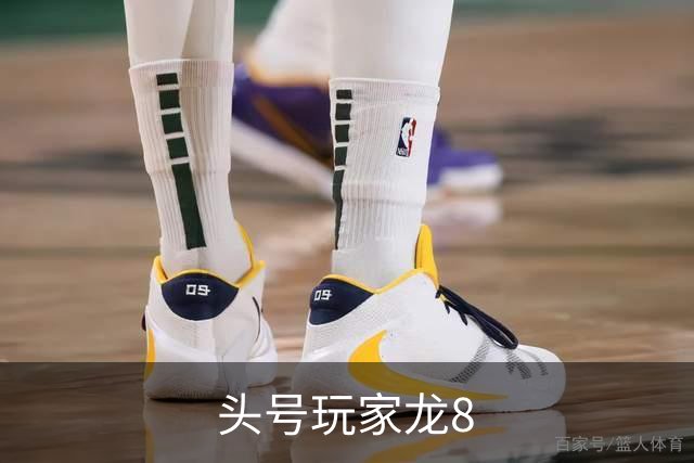 头号玩家龙8平台介绍图片